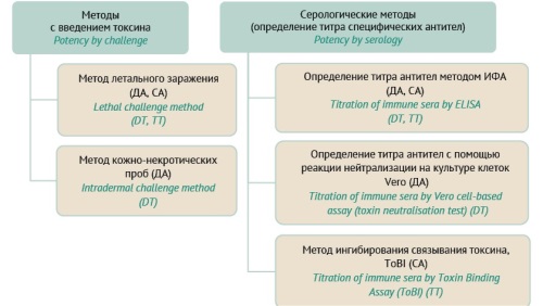 Изображение на обложке