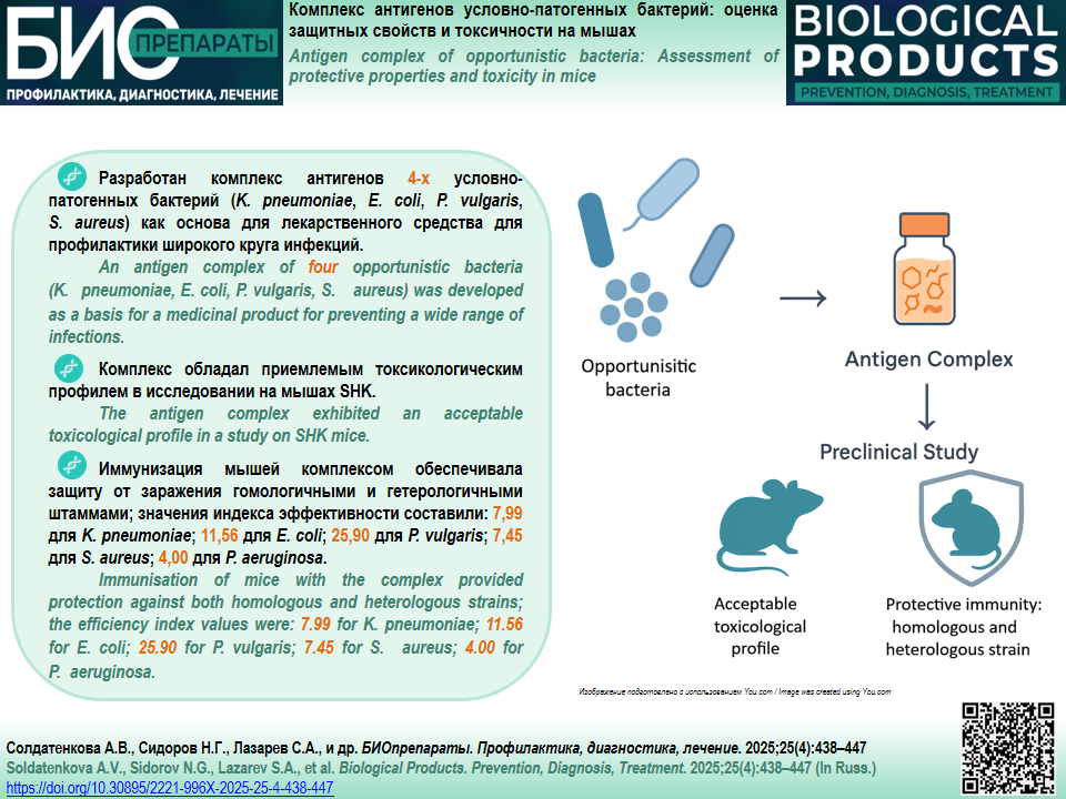 Изображение на обложке